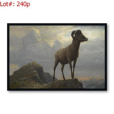 Sale Photo Thumbnail #453