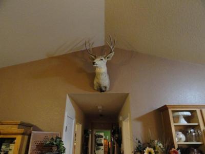 Sale Photo Thumbnail #33