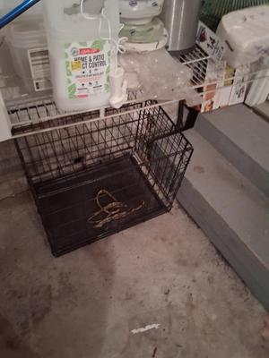 Sale Photo Thumbnail #32