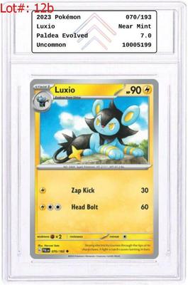 Sale Photo Thumbnail #25