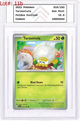 Sale Photo Thumbnail #22