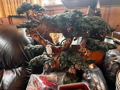 Sale Photo Thumbnail #267