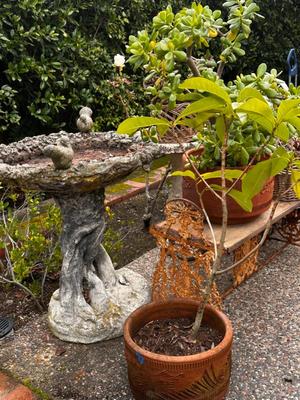 Sale Photo Thumbnail #518