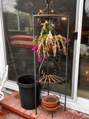 Sale Photo Thumbnail #499