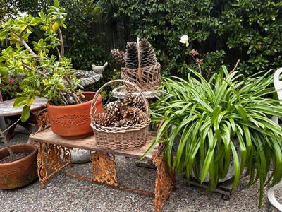 Sale Photo Thumbnail #497