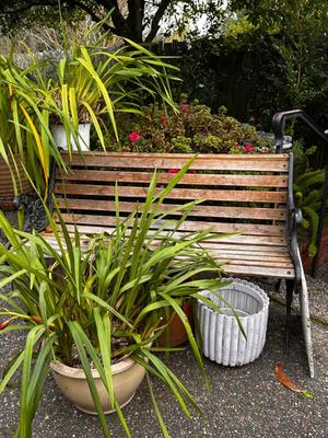 Sale Photo Thumbnail #501