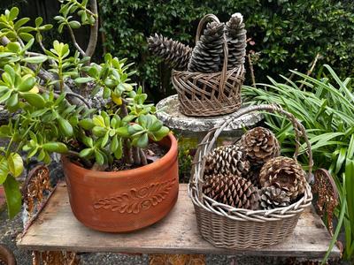 Sale Photo Thumbnail #502