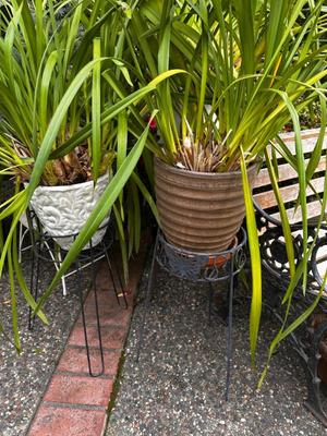 Sale Photo Thumbnail #500