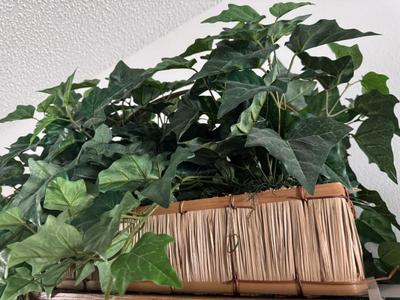 Sale Photo Thumbnail #173