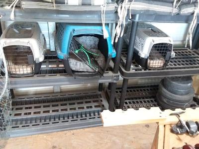 Sale Photo Thumbnail #51