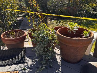 Sale Photo Thumbnail #365