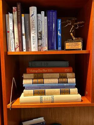 Sale Photo Thumbnail #567