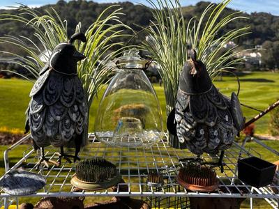 Sale Photo Thumbnail #372