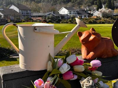 Sale Photo Thumbnail #360