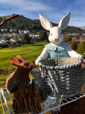 Sale Photo Thumbnail #376