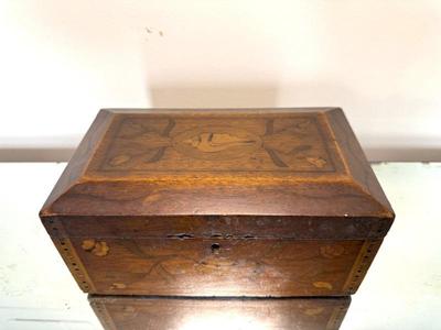 Seashell Design Victorian Era Tea Caddy 