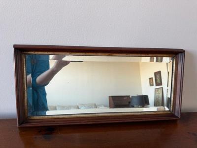 Elongated Vintage Mirror 