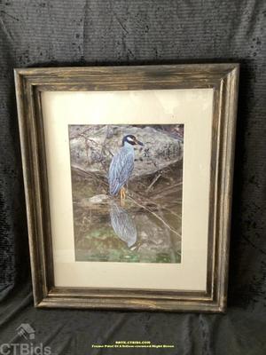 Frame print of a yellow crowned night heron rrtx ctbids.com