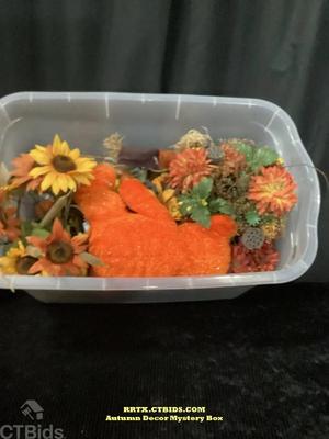 Autumn decor mystery box rrtx ctbids.com