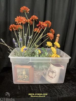 Mystery box10 rrtx ctbids.com