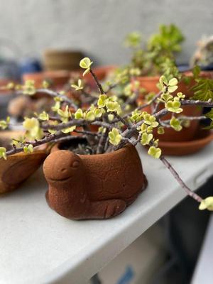 Sale Photo Thumbnail #487