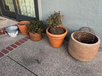 Sale Photo Thumbnail #494