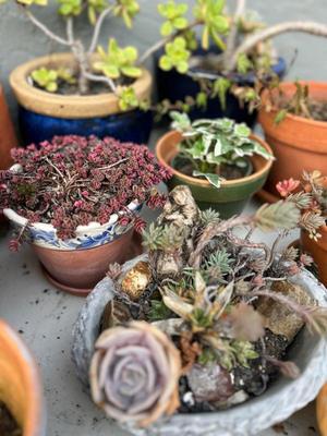 Sale Photo Thumbnail #488