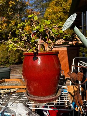 Sale Photo Thumbnail #505