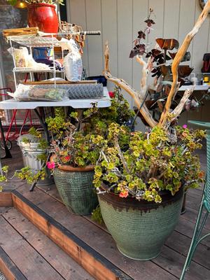 Sale Photo Thumbnail #504