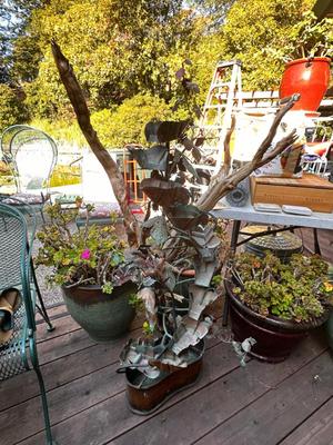 Sale Photo Thumbnail #494