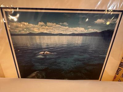 Sale Photo Thumbnail #267