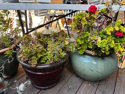 Sale Photo Thumbnail #503