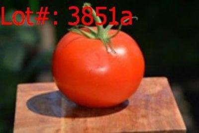 Sale Photo Thumbnail #430