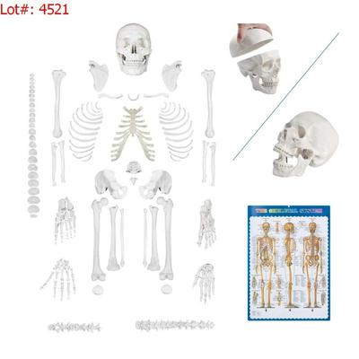 Sale Photo Thumbnail #676