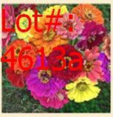 Sale Photo Thumbnail #719