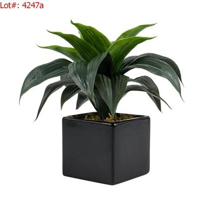 Sale Photo Thumbnail #579