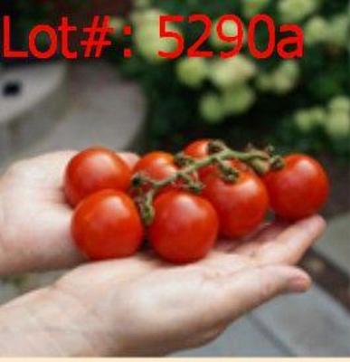 Sale Photo Thumbnail #1204