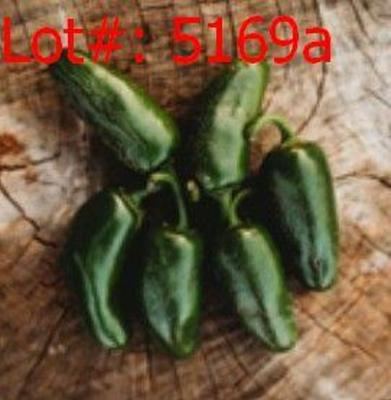 Sale Photo Thumbnail #1050