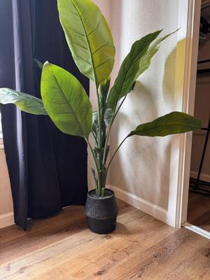 Sale Photo Thumbnail #37