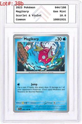 Sale Photo Thumbnail #68