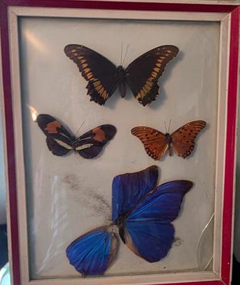 Sale Photo Thumbnail #32