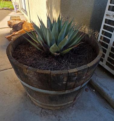 Sale Photo Thumbnail #8