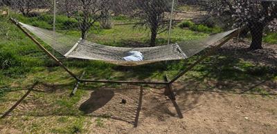 Sale Photo Thumbnail #48