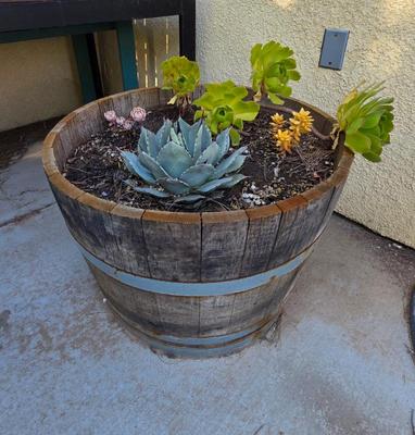 Sale Photo Thumbnail #9