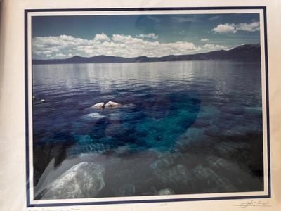 Sale Photo Thumbnail #446