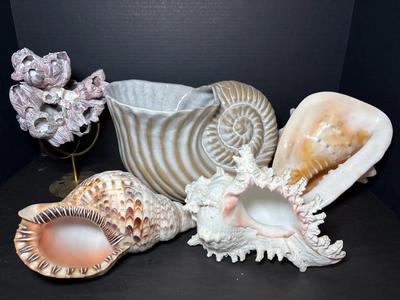 Large Seashells & Mexico Shell Planter