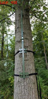 Sale Photo Thumbnail #449