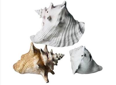 Sale Photo Thumbnail #167