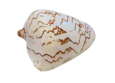 Sale Photo Thumbnail #165