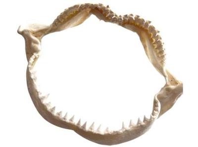 Sale Photo Thumbnail #164